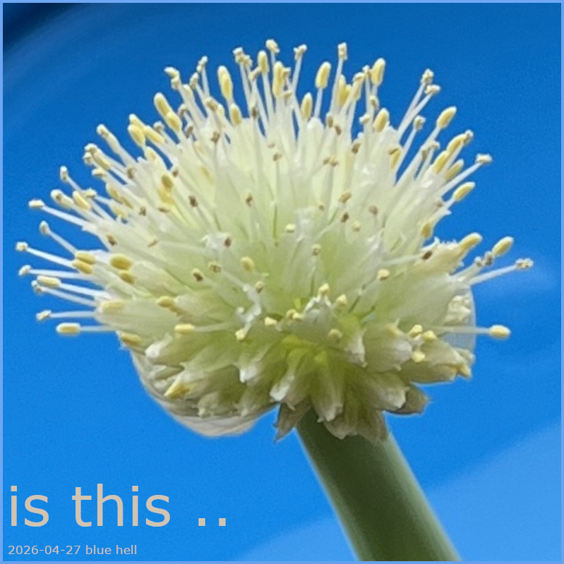 Posted Image, might have been reduced in size. Click Image to view fullscreen.